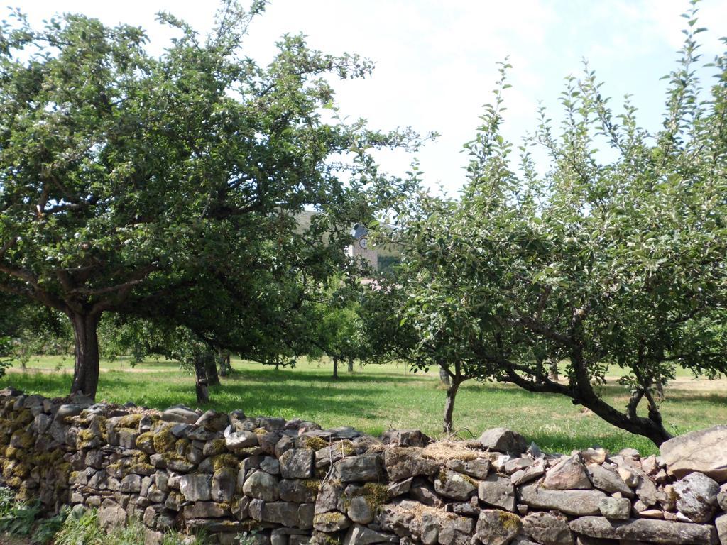 Casa Rural La Altanera Barniedo de la Reina 外观 照片